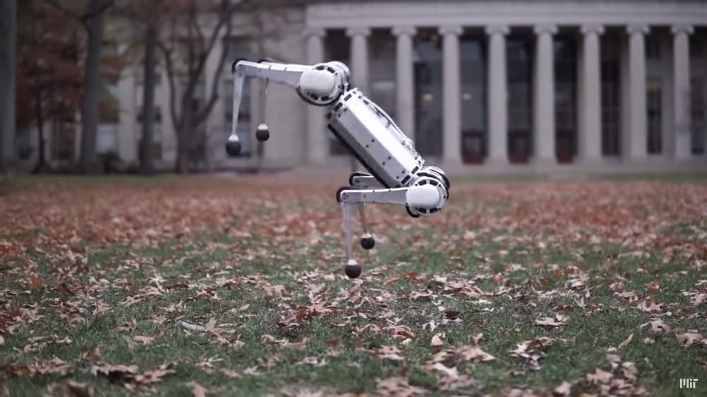 robot MIT sauto