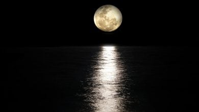 mesiac moon-2762111_960_720(1)