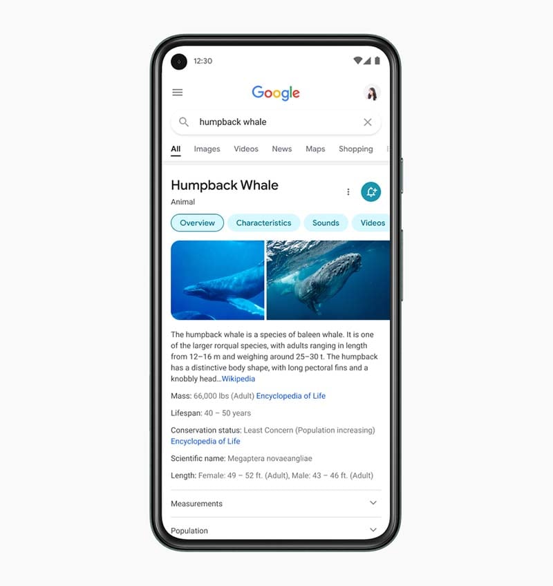 Google's new search results_ focus on information