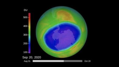 ozónová vrstvá