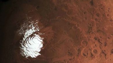 Mars nás oklamal. Pod južným pólom nie je žiadna voda