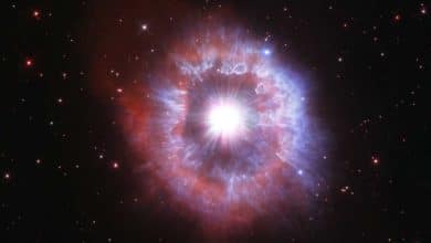 Astronómovia po prvýkrát pozorovali explóziu hviezdy
