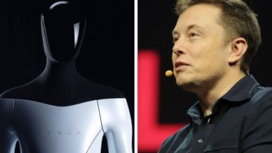 Elon Muska a humanodiny robot Optimus